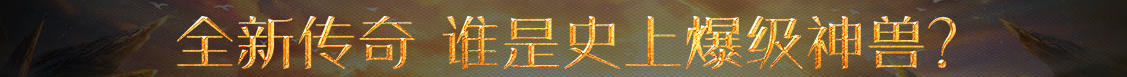 市场网策略讯